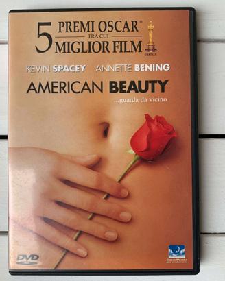 Film DVD America Beauty Kevin Spacey Serata Cinema