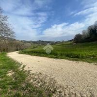 TER. AGRICOLO A CANTALUPO IN SABINA