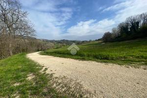TER. AGRICOLO A CANTALUPO IN SABINA