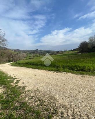 TER. AGRICOLO A CANTALUPO IN SABINA