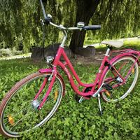 Bici Pegasus 