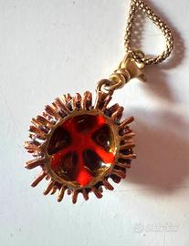 Riccio Aculei grande ISOLA BELLA