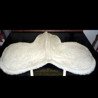 Attrezzatura per equitazione