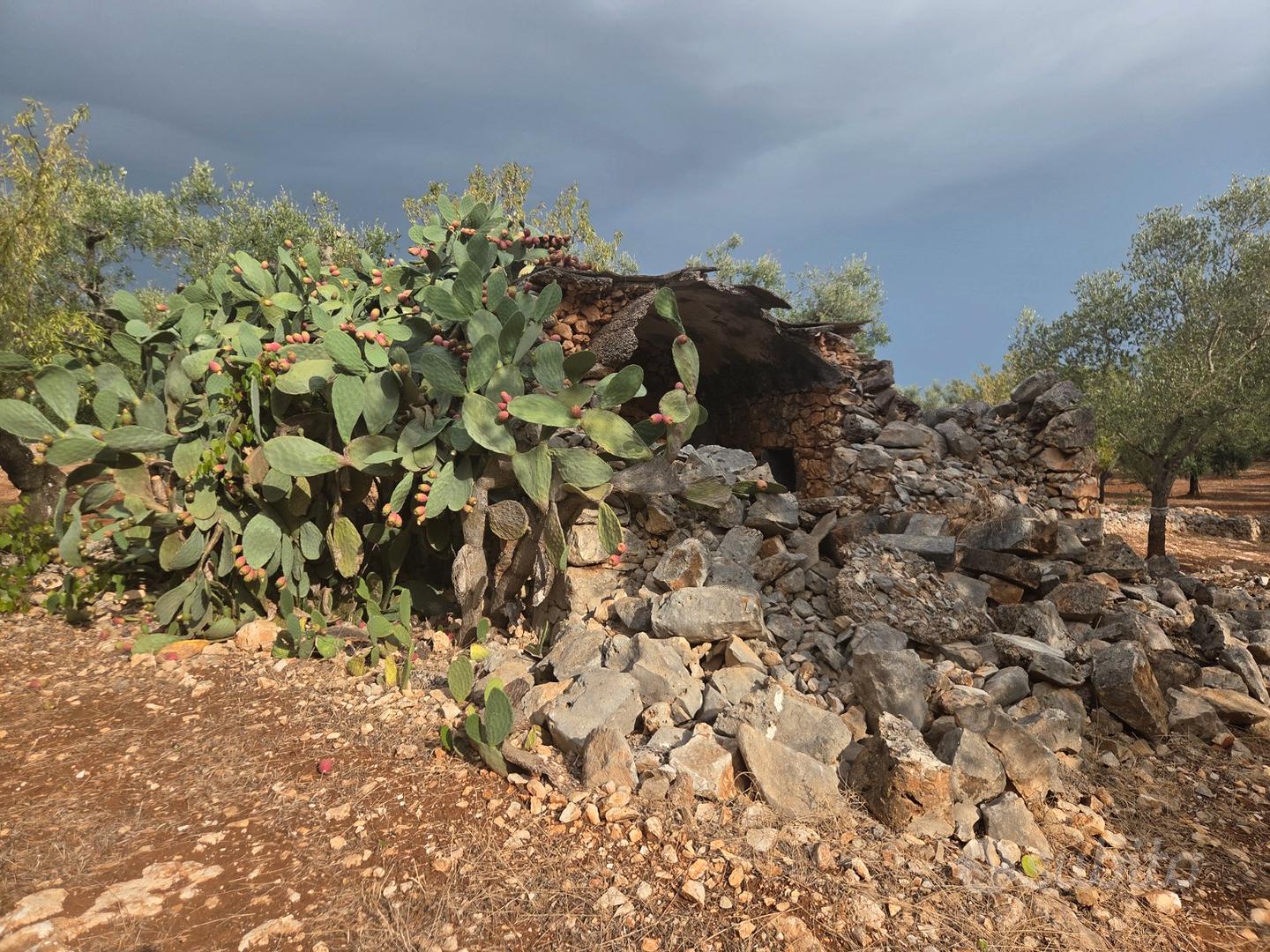 Terreno edificabile con fabbricato a Ostuni - Vista 4