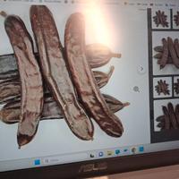 Carrubi pasto per cavalli giovani