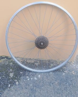 cerchione posteriore Mountain bike tg 20