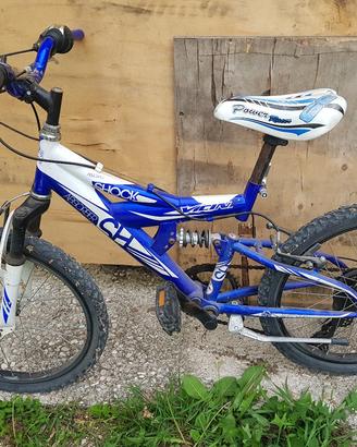 Mountain bike
