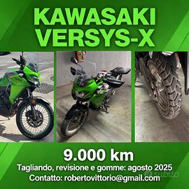Kawasaki Versys-X 300 - 2018