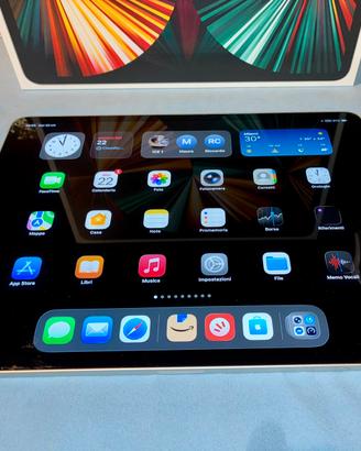 Apple IPad Pro 5gen 256Gb