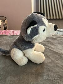 Peluche husky