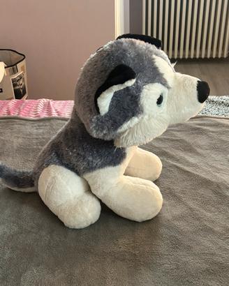 Peluche husky