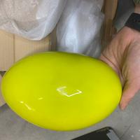 Calotte specchi Mini cooper