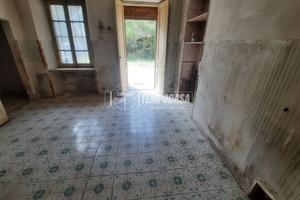 Ampia soluzione indipendente con cortile e boschet