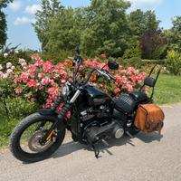 Harley Davidson softail