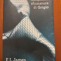Romanzo 50 sfumature di grigio