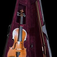 Violino