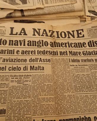 la nazione giornale 