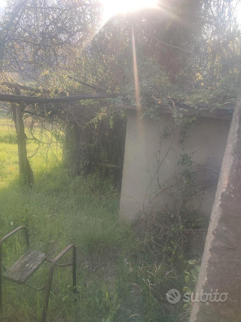 Terreno agricolo zona Mezzaluna - Mentana - Vista 4