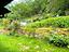 Immagine 27