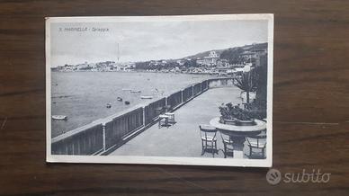 cartoline 