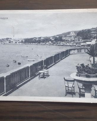 cartoline 