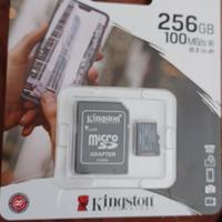 Micro Sd Kingston 256Gb Anbernic 