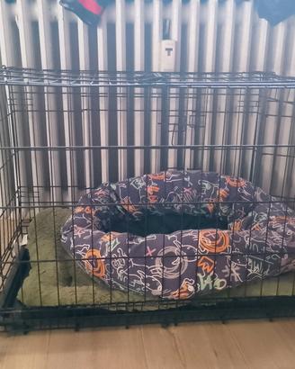 kennel con due aperture