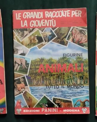 Raccolte Panini, album vari, cartoline, fumetti