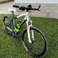  Mountain Bike Raptur Brinke 