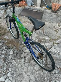 Bicicletta