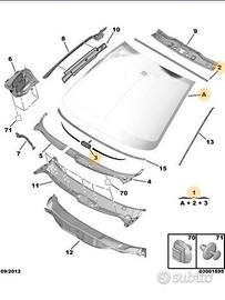 Parabrezza Peugeot 206 206+ 206 plus no sensore