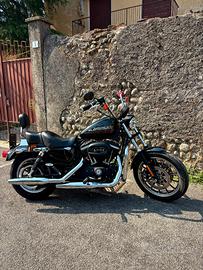 Harley davidson sportster 883