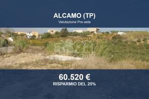 Immobile in asta di 15825 m² a Alcamo