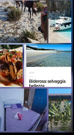 Cala liberotto Estate 2026