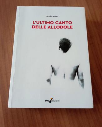 Romanzo L'ultimo canto delle allodole
