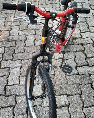 Bicicletta  bambino