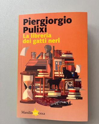 Piergiorgio Pulixi