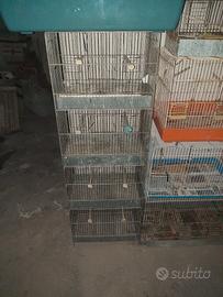 gabbia 