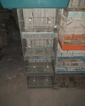 gabbia 