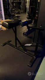 Palestra panatta professionale