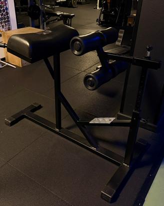 Palestra panatta professionale