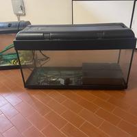Aquario