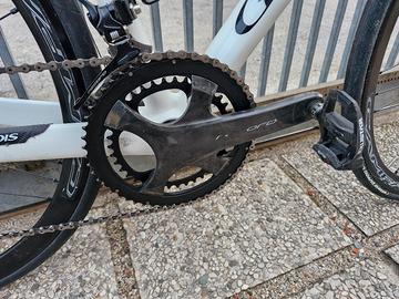 gruppo campagnolo super record disc 12v