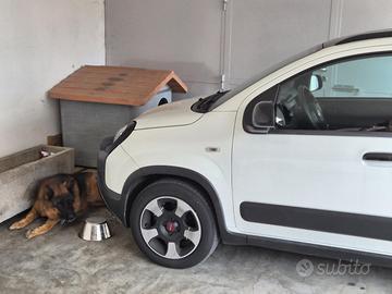  Fiat panda cross 