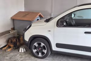  Fiat panda cross 