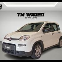 FIAT Panda 3ª serie - Panda 1.0 FireFly S&S Hybrid