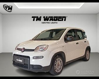 FIAT Panda 3ª serie - Panda 1.0 FireFly S&S Hybrid