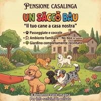 Pensione casalinga per cani