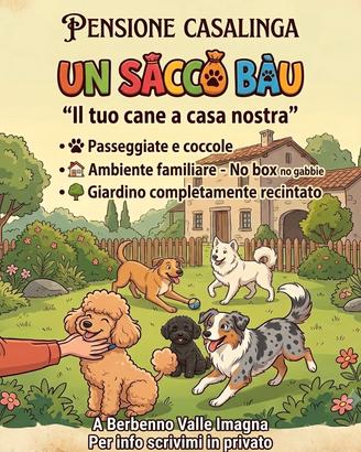 Pensione casalinga per cani