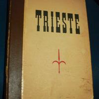 LIBRO       "TRIESTE  e la Venezia Giulia"